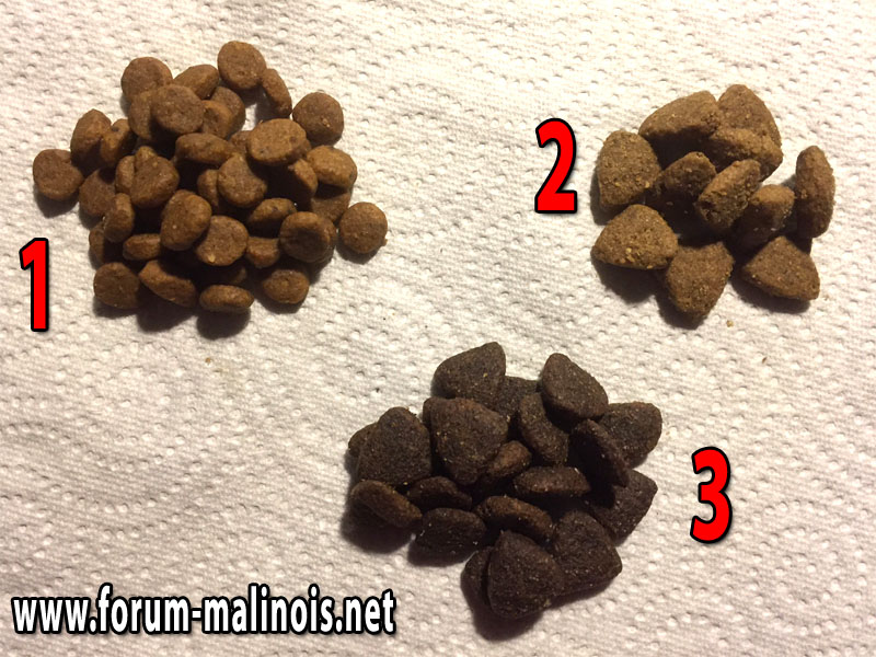 comparatif croquettes premium avec et sans céréales - Forum Malinois - le  forum des passionnés du Berger Malinois